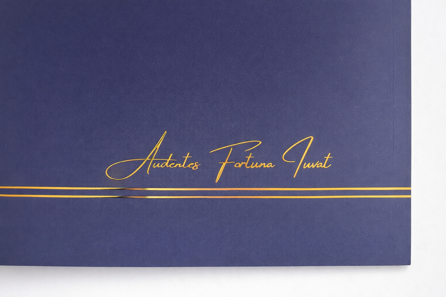 'Fortune Favours the Bold' Notebook- Navy Blue