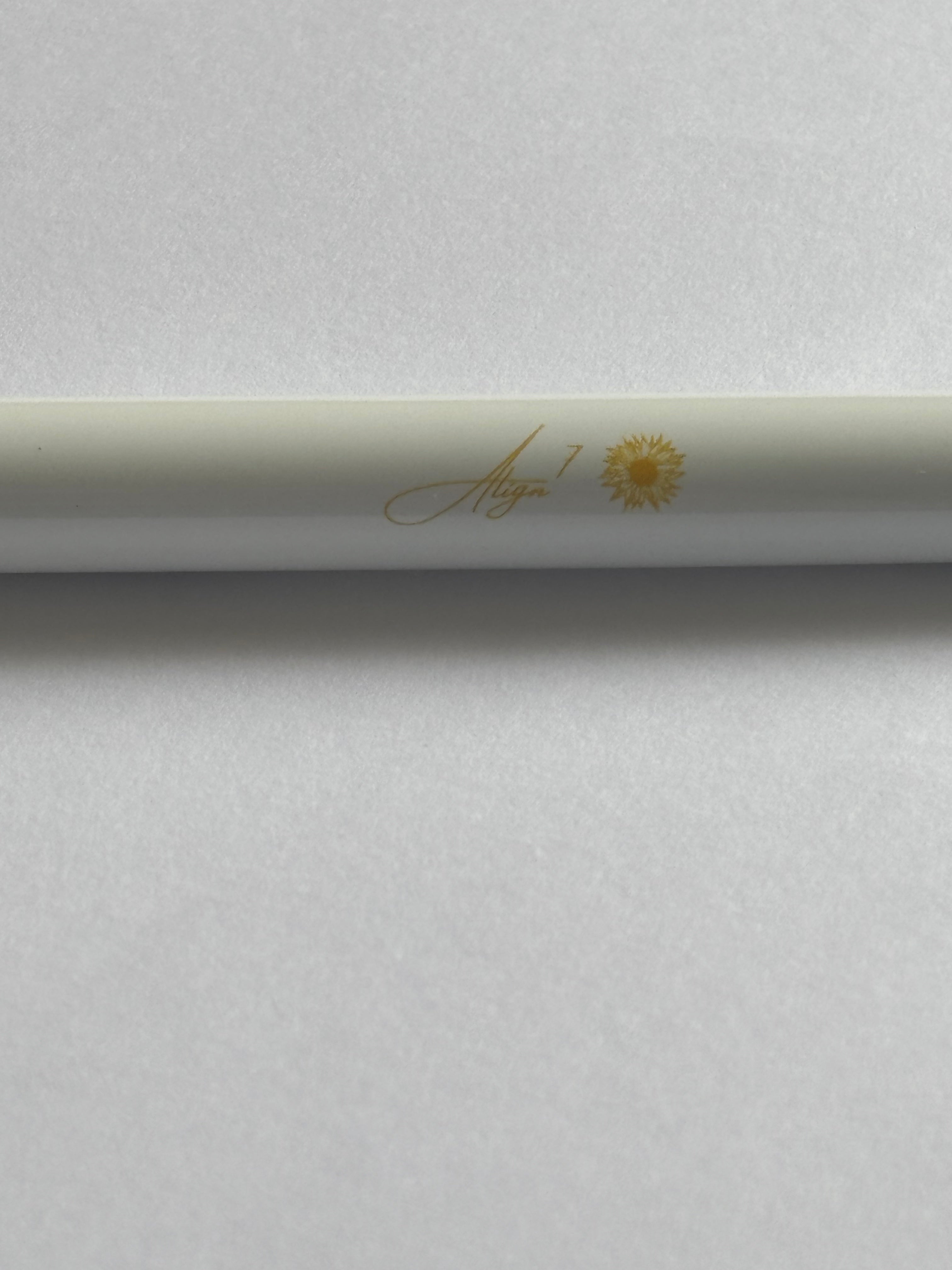 'Always prepared' Pen - White